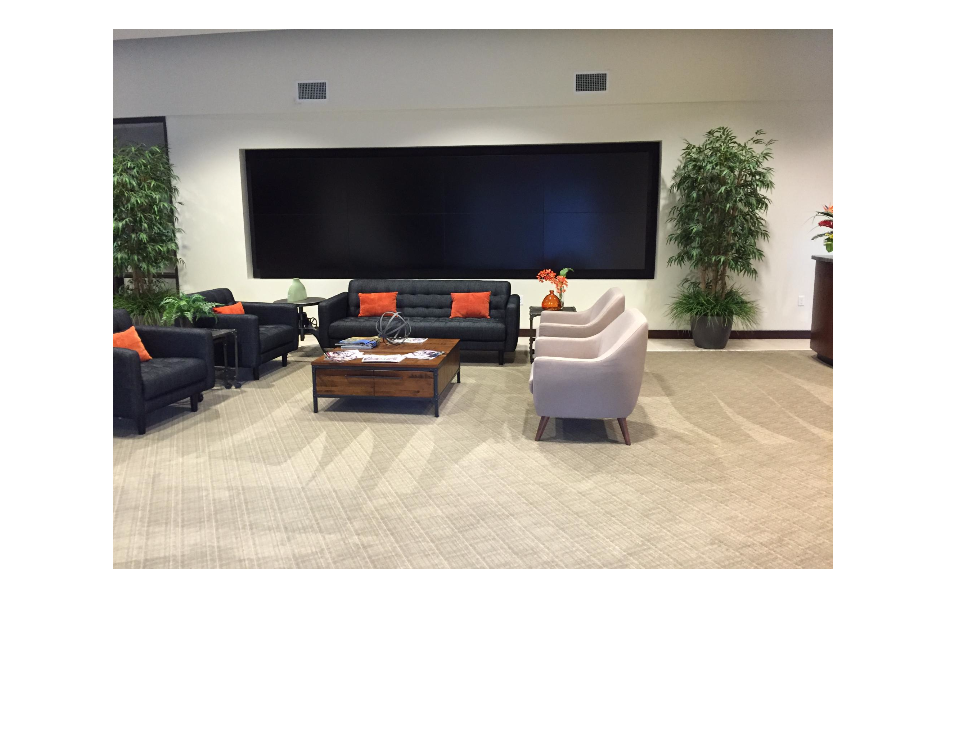 Commercial Steve's Carpet Cleaning, upholstery, shampooing, Portland, OR